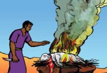 11: Pengorbanan untuk Dosa